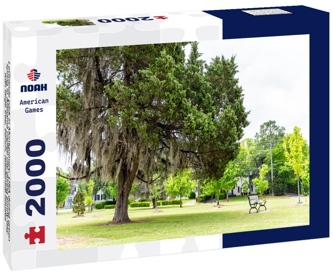 Noah Jigsaw Puzzle LeGrande park in Montgomery, USA during green spring in Alabama capital city during sunny day with large tree, bench, residential houses 2000 pieces