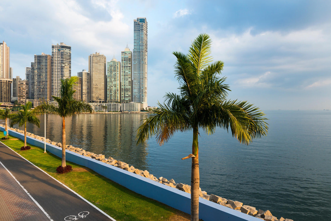 Noah Jigsaw Puzzle View of the financial district in downtown City of Panama, Panama, with a cycling lane and Palm Trees; Concept for travel in Panama 2000 pieces