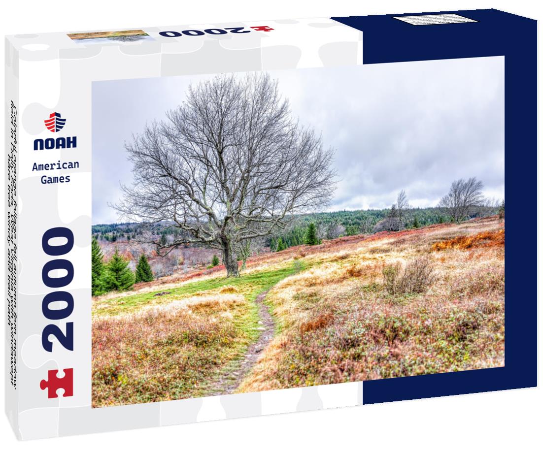 Noah Jigsaw Puzzle Colorful orange foliage fall autumn fern meadow field in Dolly Sods, West Virginia with windswept bare tree windy and trail path 2000 pieces