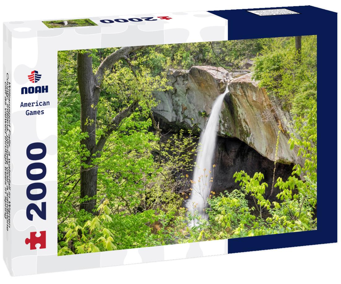 Noah Jigsaw Puzzle Williamsport Falls, a waterfall in Warren County, Indiana, plunges over a sandstone cliff as viewed through trees in spring 2000 pieces