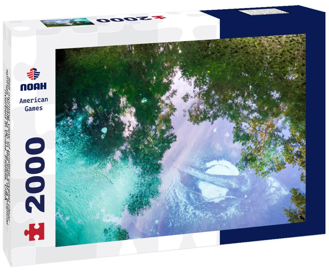 Noah Jigsaw Puzzle Still morning view of pristine crystal clear springs bubbling up in the sand of a tropical riverbed in Ocala, Florida, USA 2000 pieces