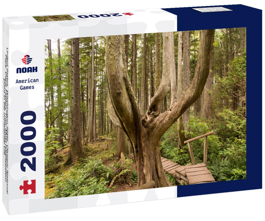 Noah Jigsaw Puzzle United States, Washington State, Olympic National Park. Cape Flattery Trail. Most northwestern point in the continental US 2000 pieces