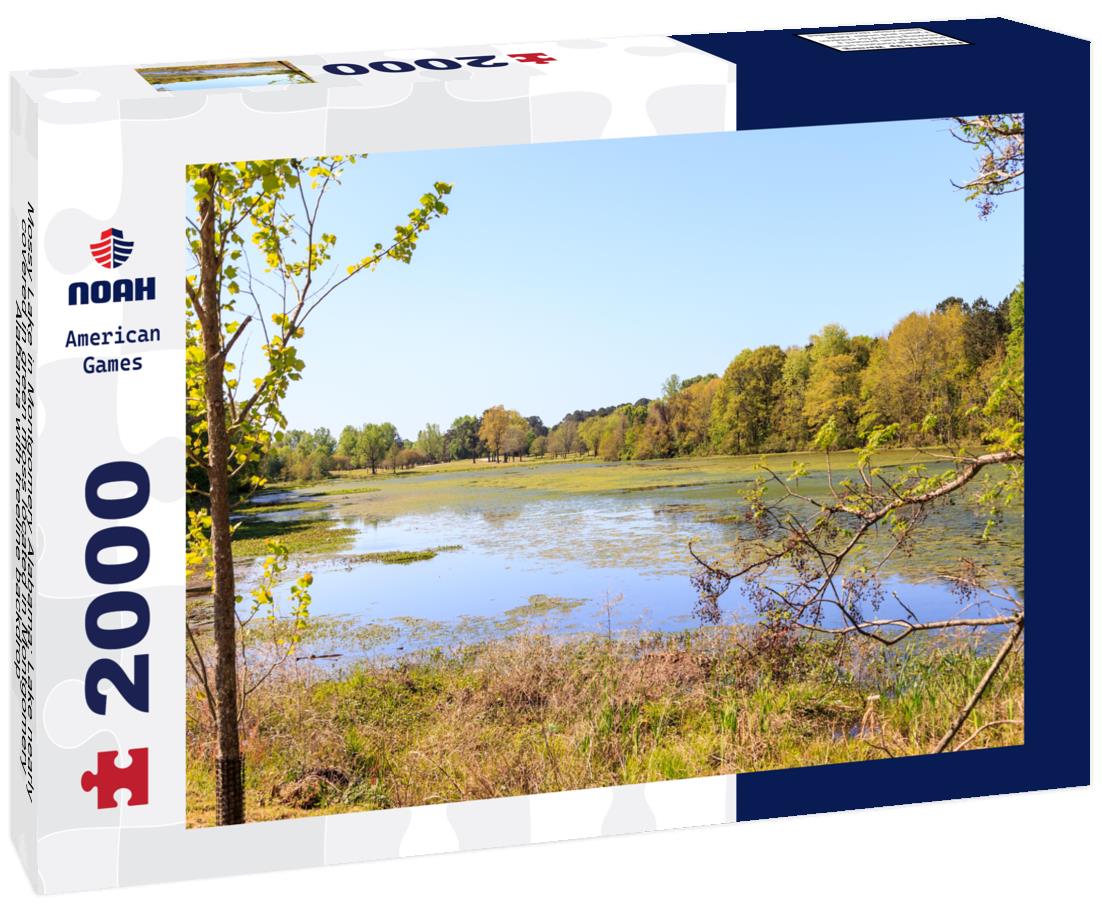 Noah Jigsaw Puzzle Mossy Lake in Montgomery Alabama: Lake nearly covered in green moss located in Montgomery, Alabama with treeline backdrop 2000 pieces