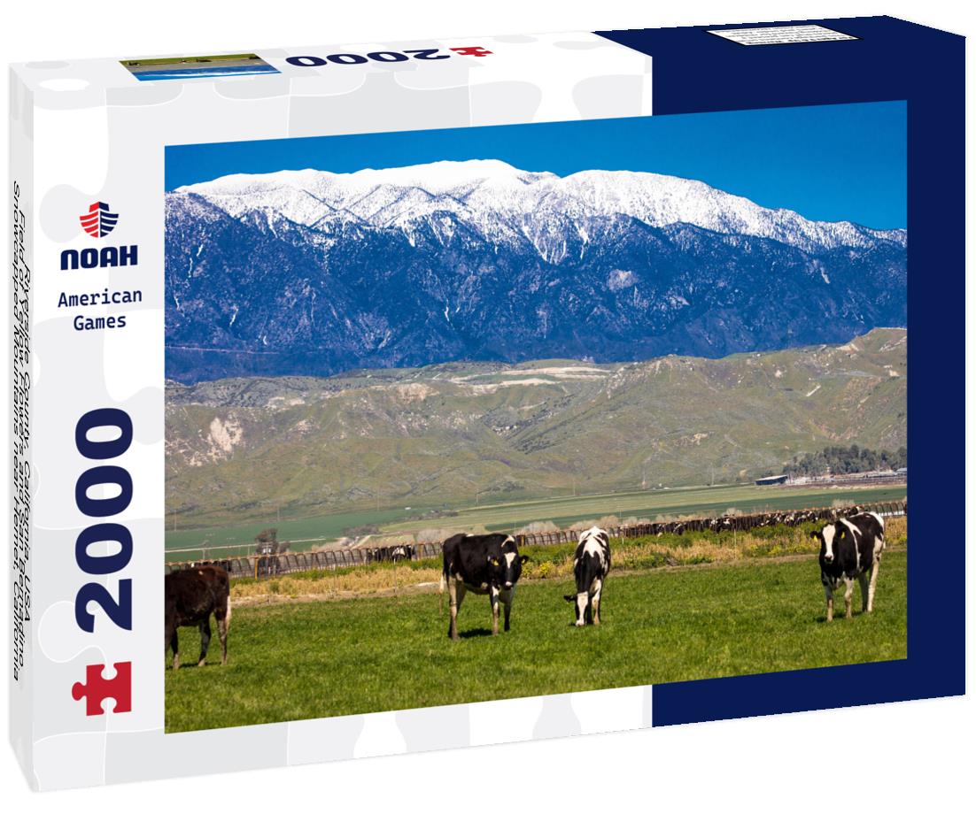 Noah Jigsaw Puzzle Riverside County, California, USA - Field of Yellow Flowers and San Bernadino Snowcapped Mountains near Hemet, California 2000 pieces