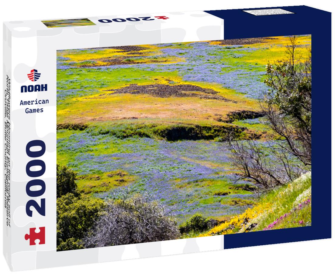 Wildflowers blooming on the rocky soil of North Table Mountain Ecological Reserve, Oroville, Butte County, California 2000pc Puzzle