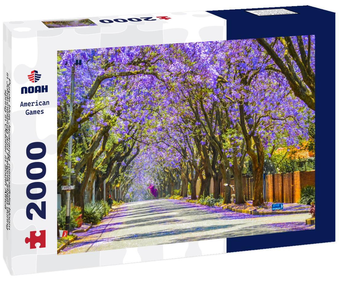 Purple blue Jacaranda mimosifolia bloom in Johannesburg and Pretoria street during spring in October in South Africa 2000pc Puzzle