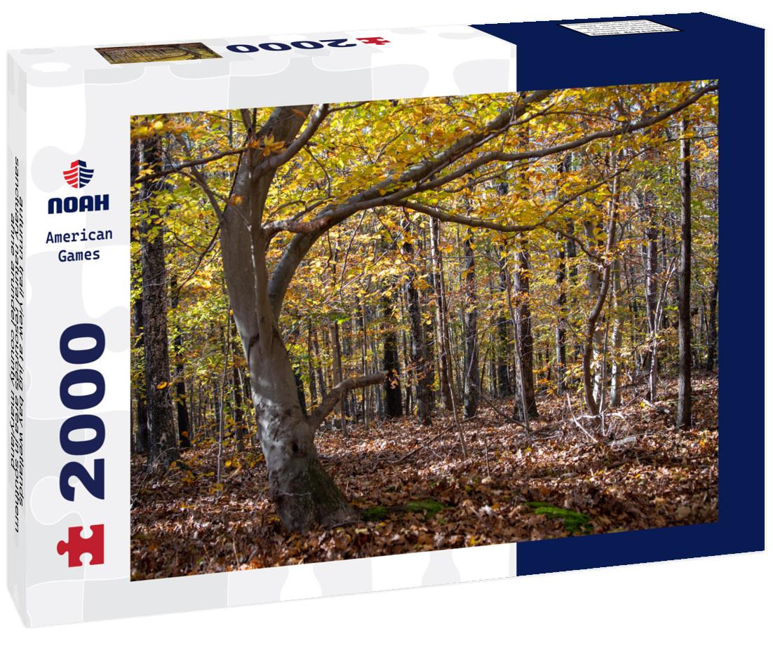 Noah Jigsaw Puzzle autumn trail view at jug bay wetlands sanctuary natural resources area in southern anne arundel county maryland 2000 pieces