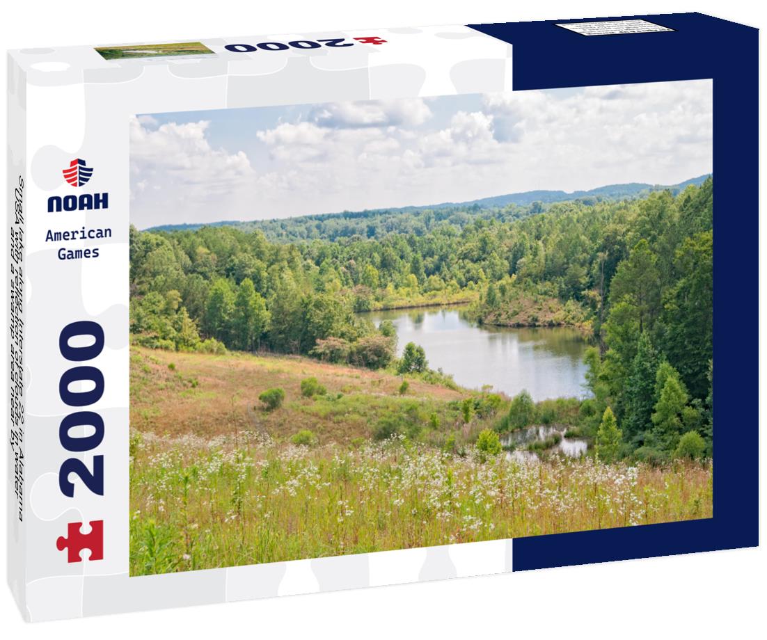 Noah Jigsaw Puzzle Small lake along Interstate 22 in Alabama USA with reflection of clouds in water and a swamp area near by 2000 pieces
