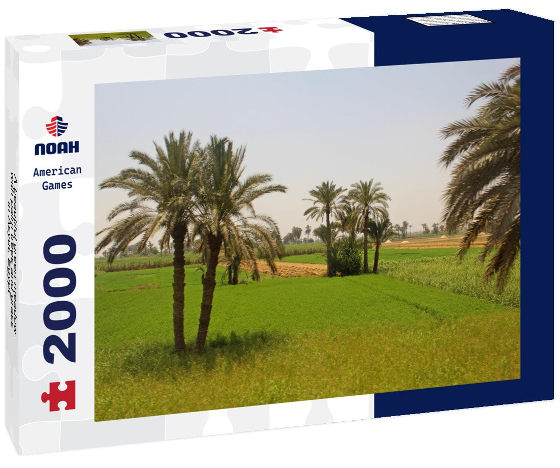 Noah Jigsaw Puzzle A beautiful green meadow with palm trees and grass in Asyut, Egypt 2000 Pieces