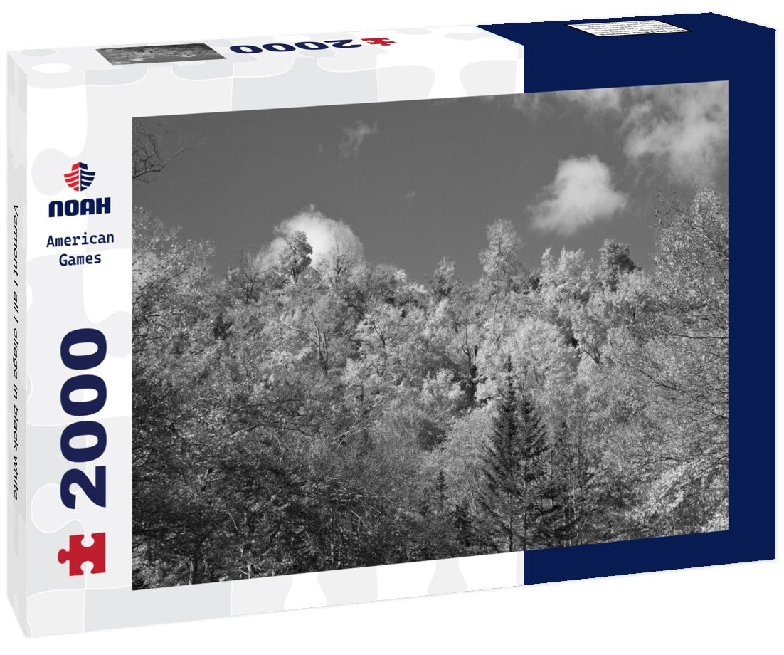 Noah Jigsaw Puzzle Vermont Fall Foliage in black white 2000 pieces