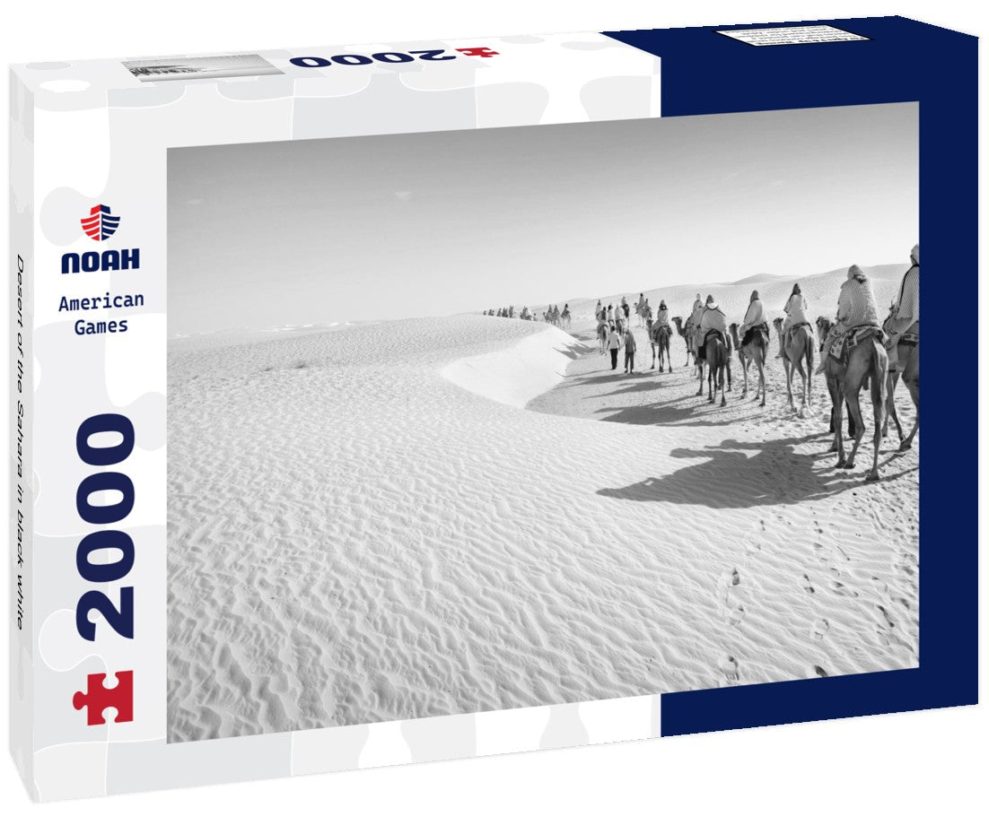Noah Jigsaw Puzzle Desert of the Sahara in black white 2000 pieces