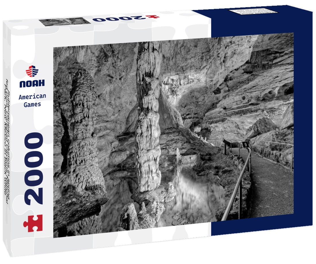 Noah Jigsaw Puzzle Subterranean columns in spring-fed pool, Carlsbad Caverns National Park, New Mexico in black white 2000 pieces