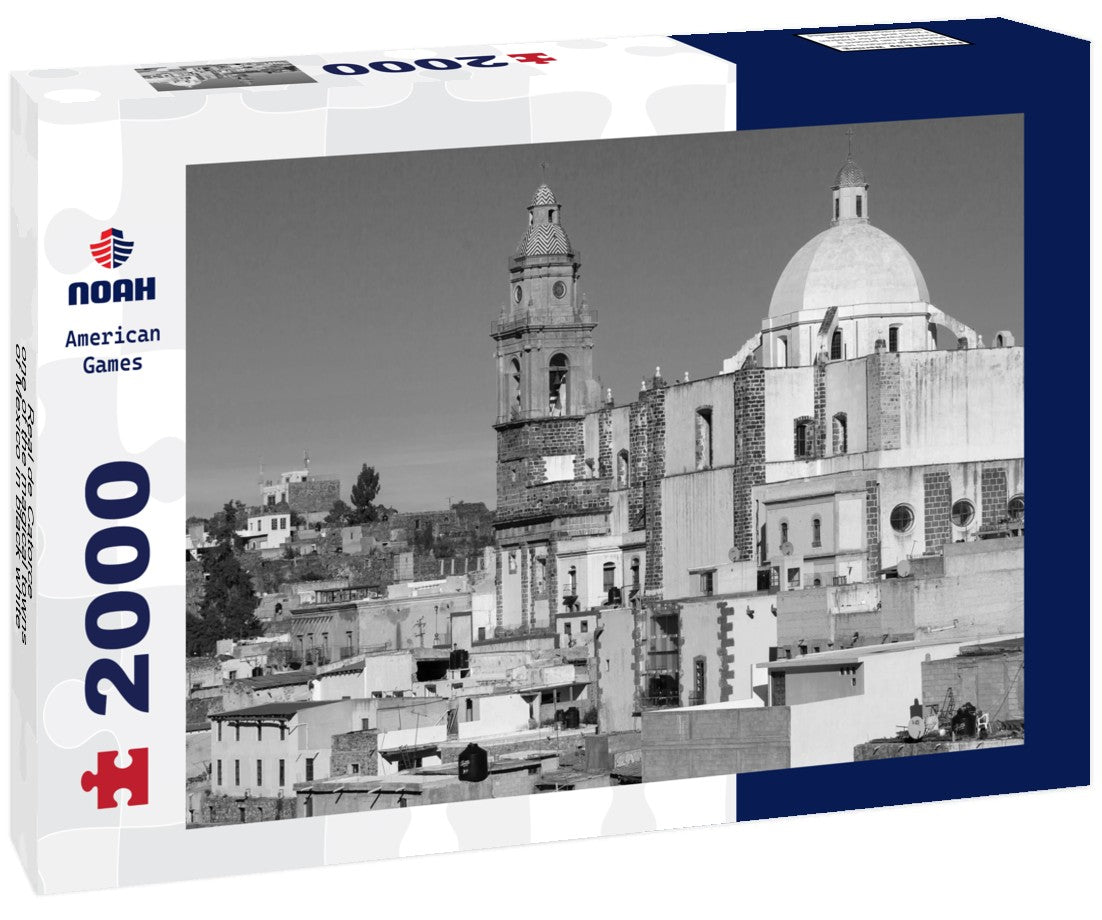 Noah Jigsaw Puzzle Real de Catorce - one of the magical towns of Mexico in black white 2000 pieces