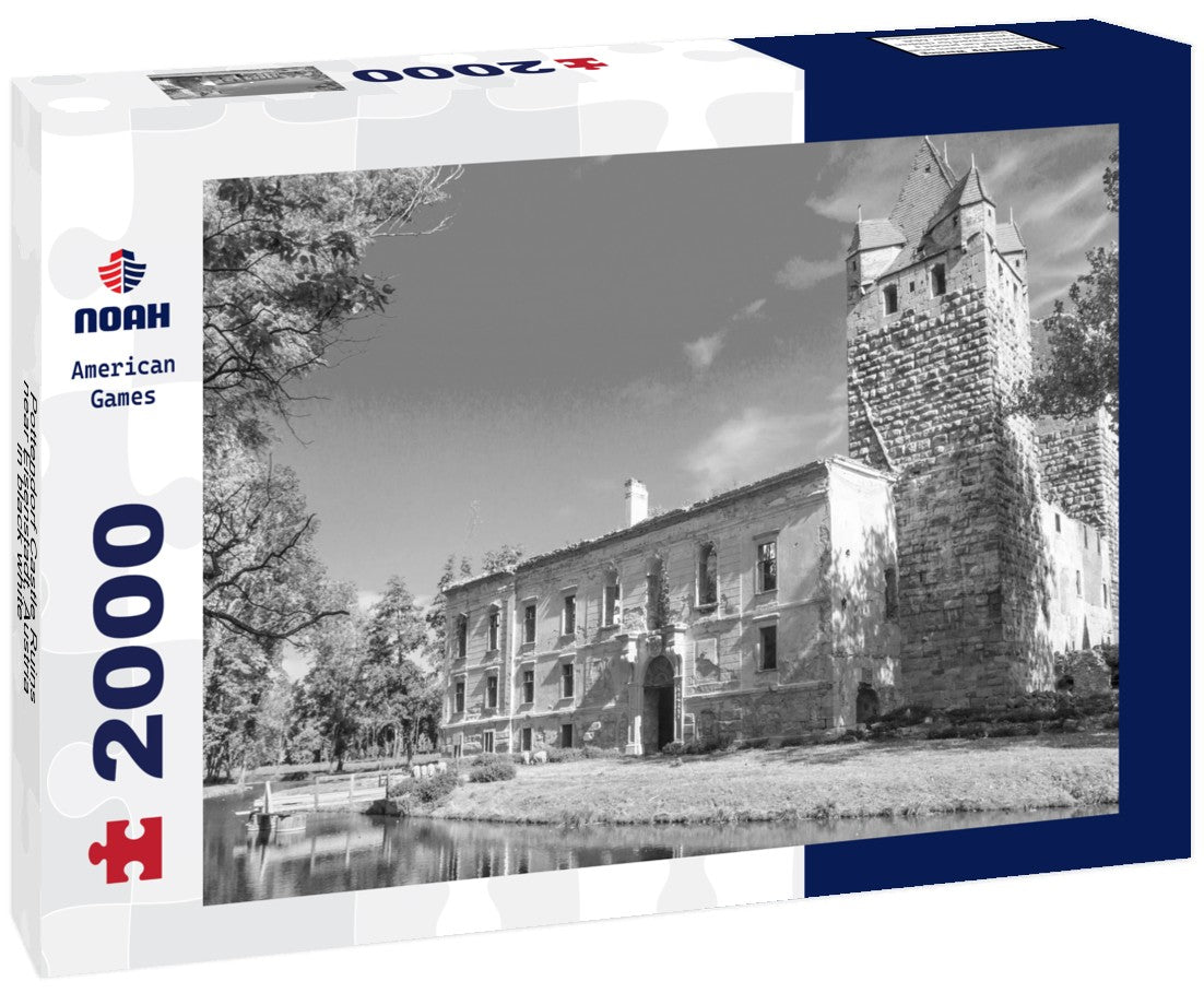Noah Jigsaw Puzzle Pottendorf Castle Ruins near Eisenstadt, Austria in black white 2000 pieces