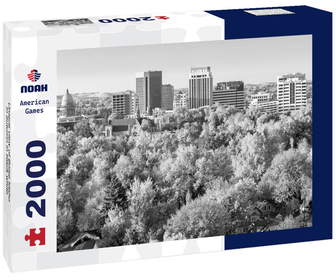 Noah Jigsaw Puzzle Unique view of Boise Idaho in autumn in black white 2000 pieces