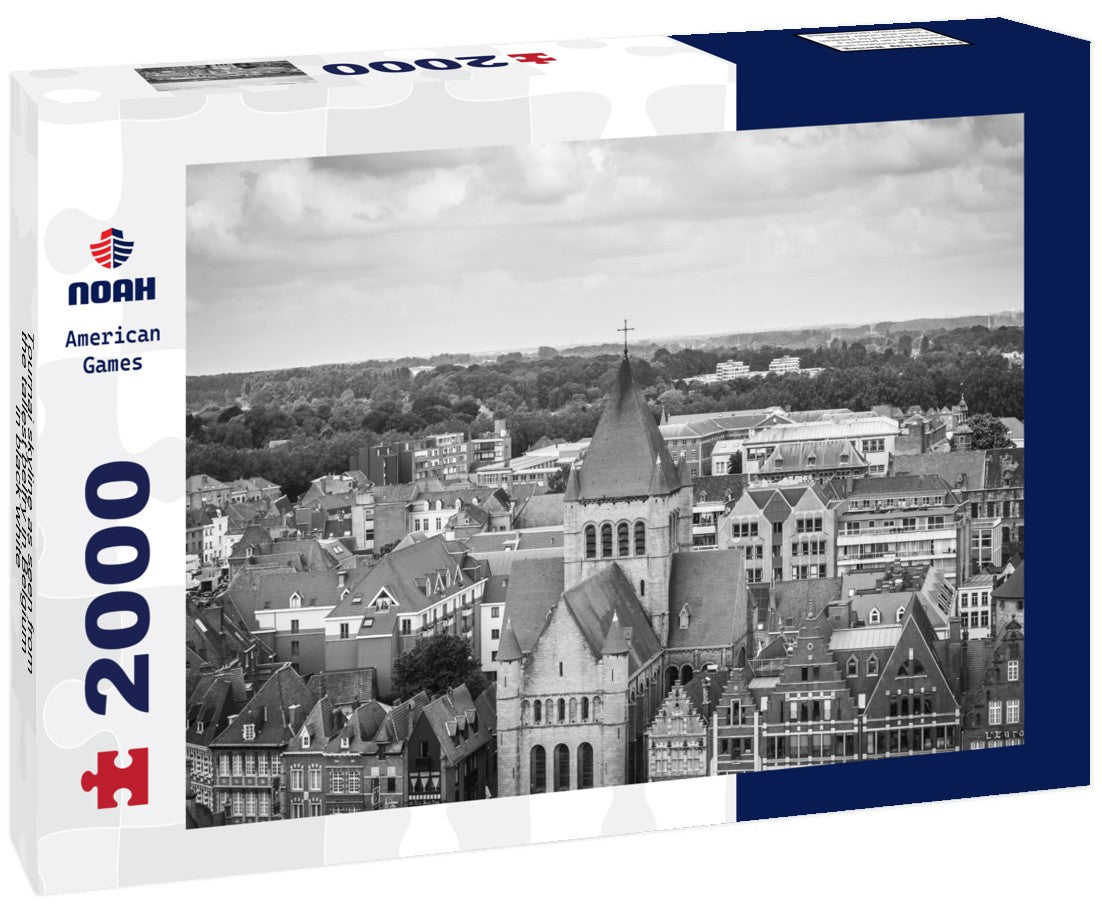 Noah Jigsaw Puzzle Tournai skyline as seen from the tallest belfry in Belgium in black white 2000 pieces