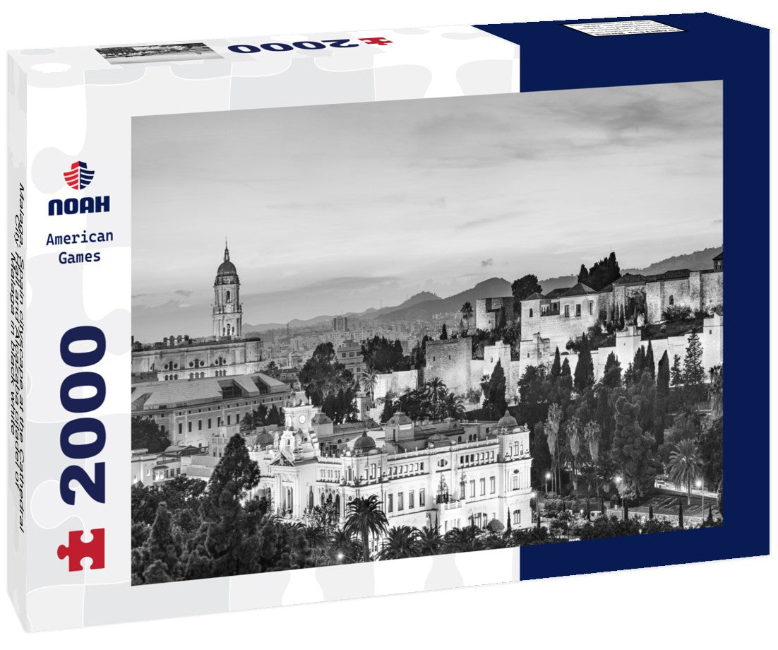 Noah Jigsaw Puzzle Malaga, Spain cityscape at the Cathedral, City Hall and Alcazaba citadel of Malaga in black white 2000 pieces