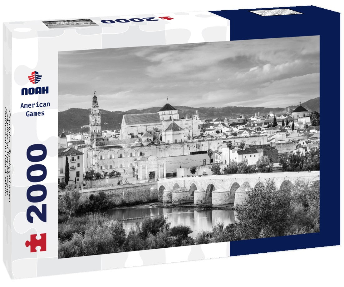 Noah Jigsaw Puzzle Cordoba, Spain old town skyline at the Mosque-Cathedral in black white 2000 pieces