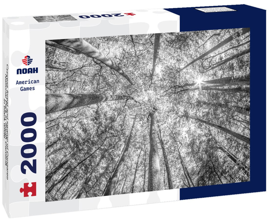 Noah Jigsaw Puzzle Cypress forest and swamp of Congaree National Park in South Carolina in black white 2000 pieces