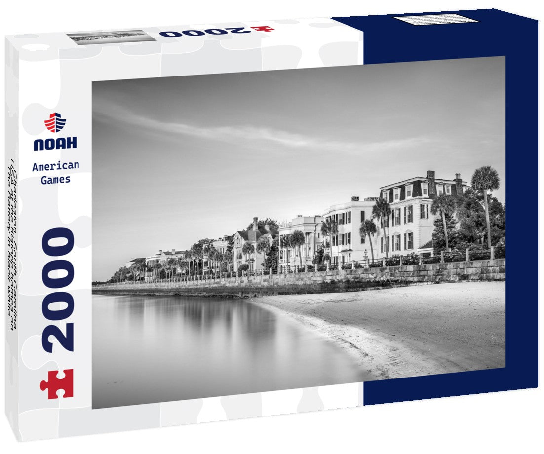 Noah Jigsaw Puzzle Charleston, South Carolina, USA at the historic homes on The Battery in black white 2000 pieces