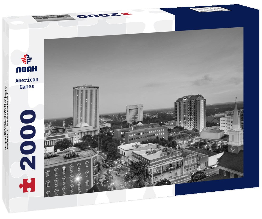 Noah Jigsaw Puzzle Tallahassee, Florida, USA downtown skyline in black white 2000 pieces