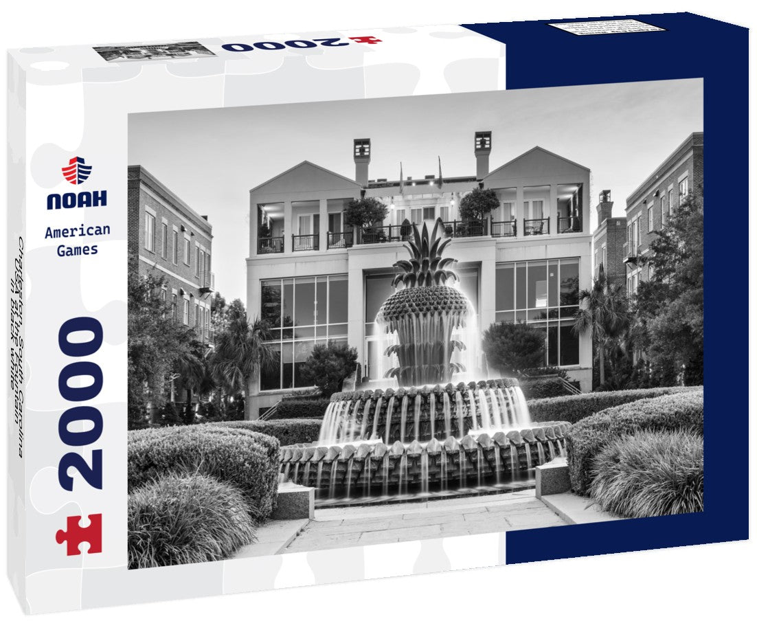Noah Jigsaw Puzzle Charleston, South Carolina, USA at the Fountain in black white 2000 pieces