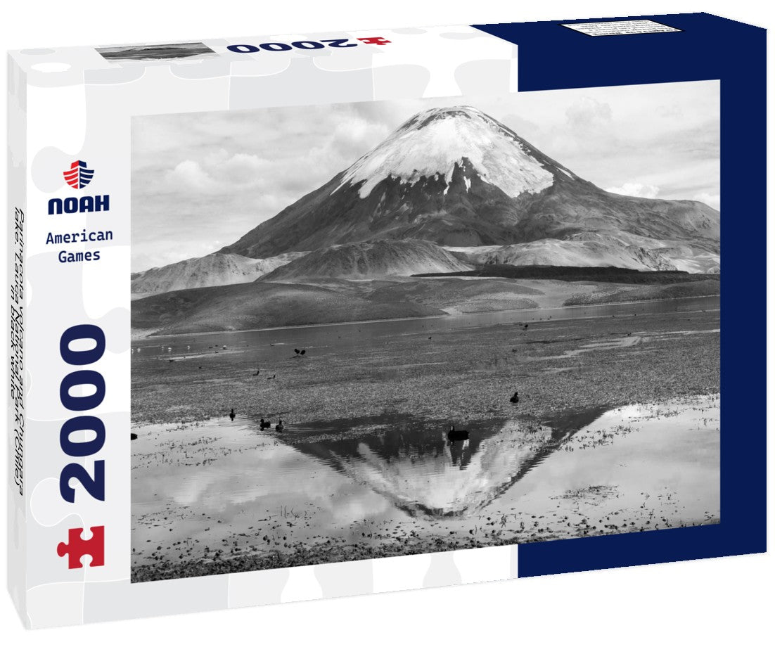 Noah Jigsaw Puzzle Parinacota volcano and Chungara lake, Lauca National Park (Chile) in black white 2000 pieces