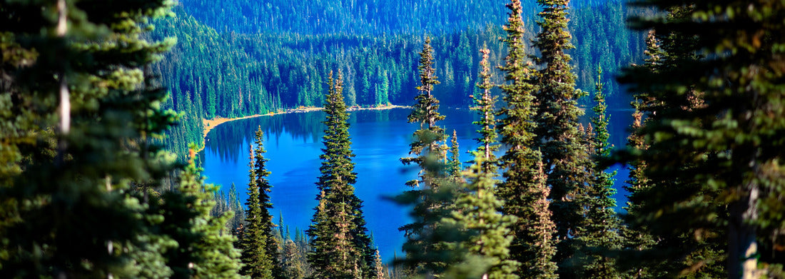 Noah Jigsaw Puzzle Mount Rainier National Park, Washington State panorama 1000 pieces