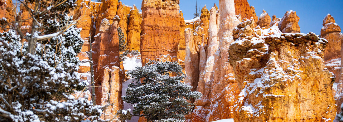 Noah Jigsaw Puzzle Bryce Canyon National Park in winter, unique rock formations in Utah covered in snow, orange rocks in snow, cold winter in the USA panorama 1000 pieces