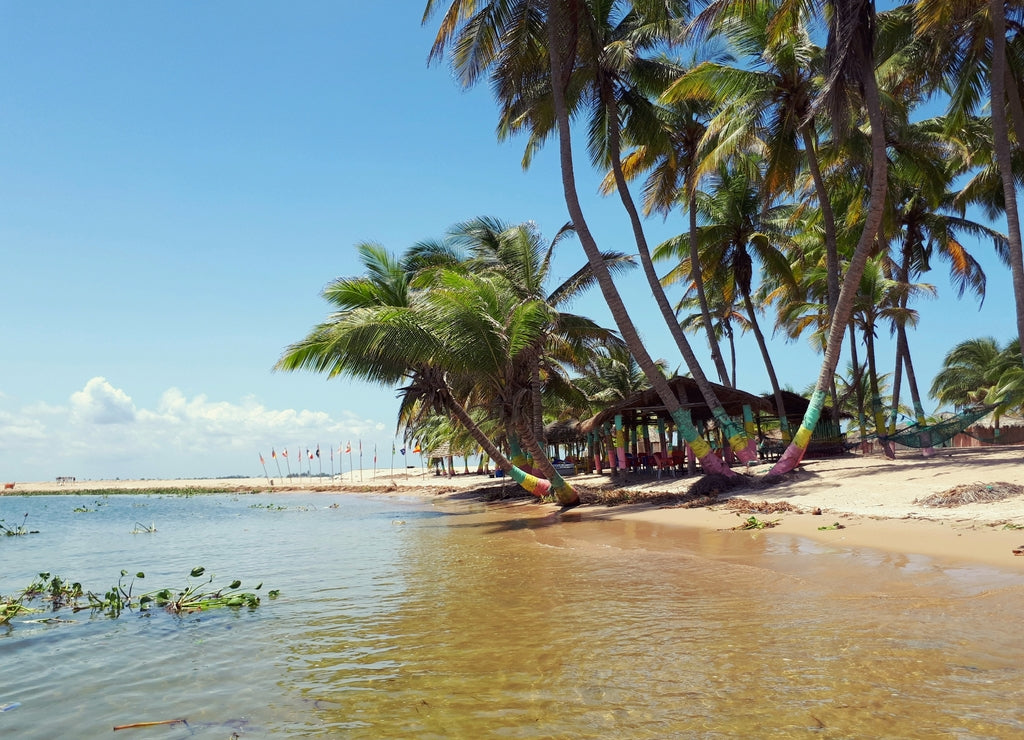palm-lined sweet water beach at ada foah, Ghana