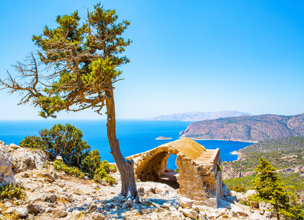 Historic ruin and pine tree, Mediterranea Sea, Rhodes Island, Greece