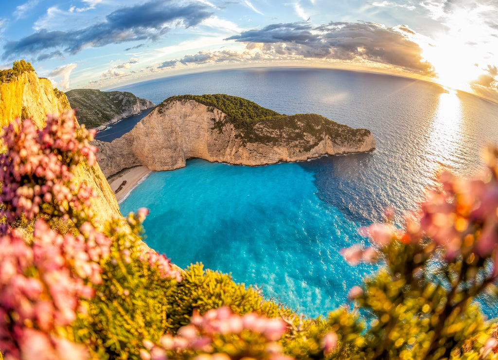 Navagio beach with shipwreck against colorful flowers on Zakynthos island, Greece