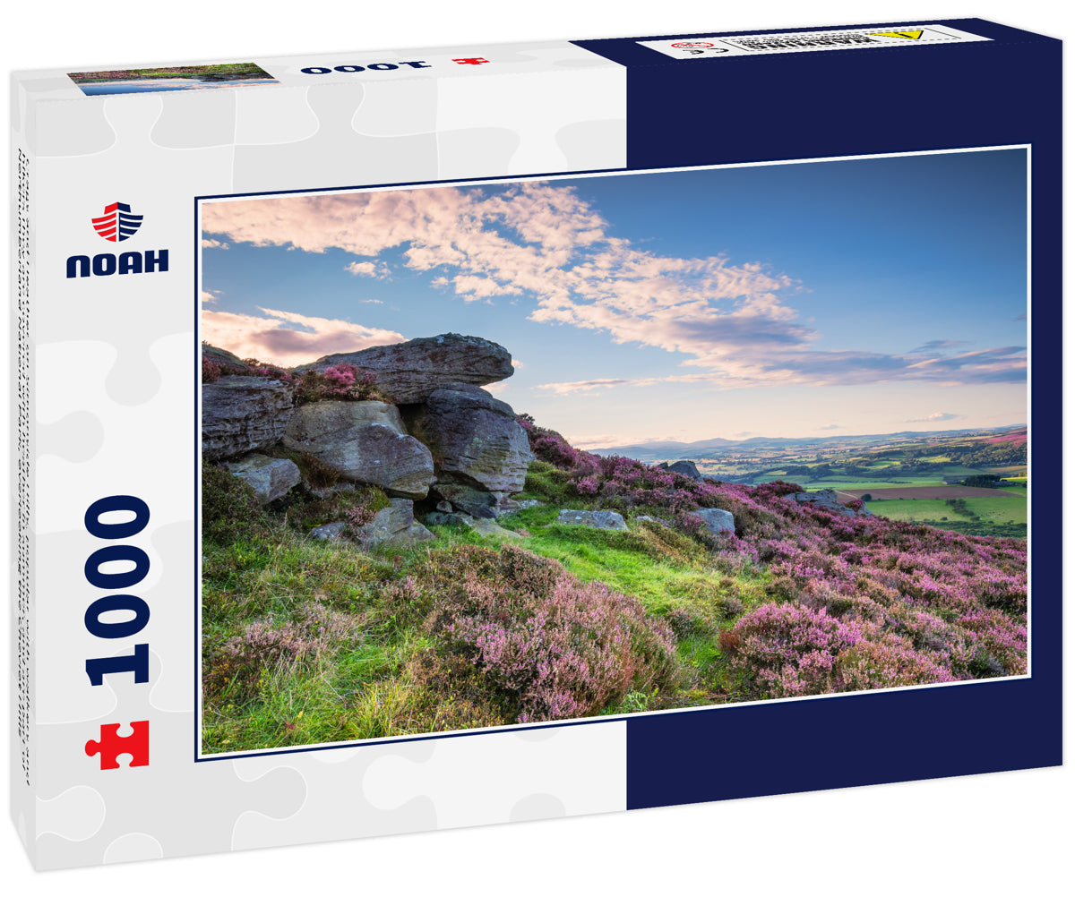 Crags and Heather on Simonside Hills, popular with walkers and hikers they are covered with heather in summer, and are part of Northumberland National Park, overlooking the Cheviot Hills