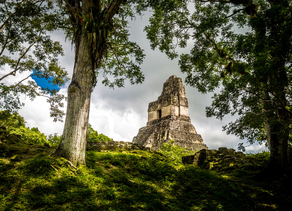 Top of mayan Temple I (Gran Jaguar) at Tikal National Park - Guatemala