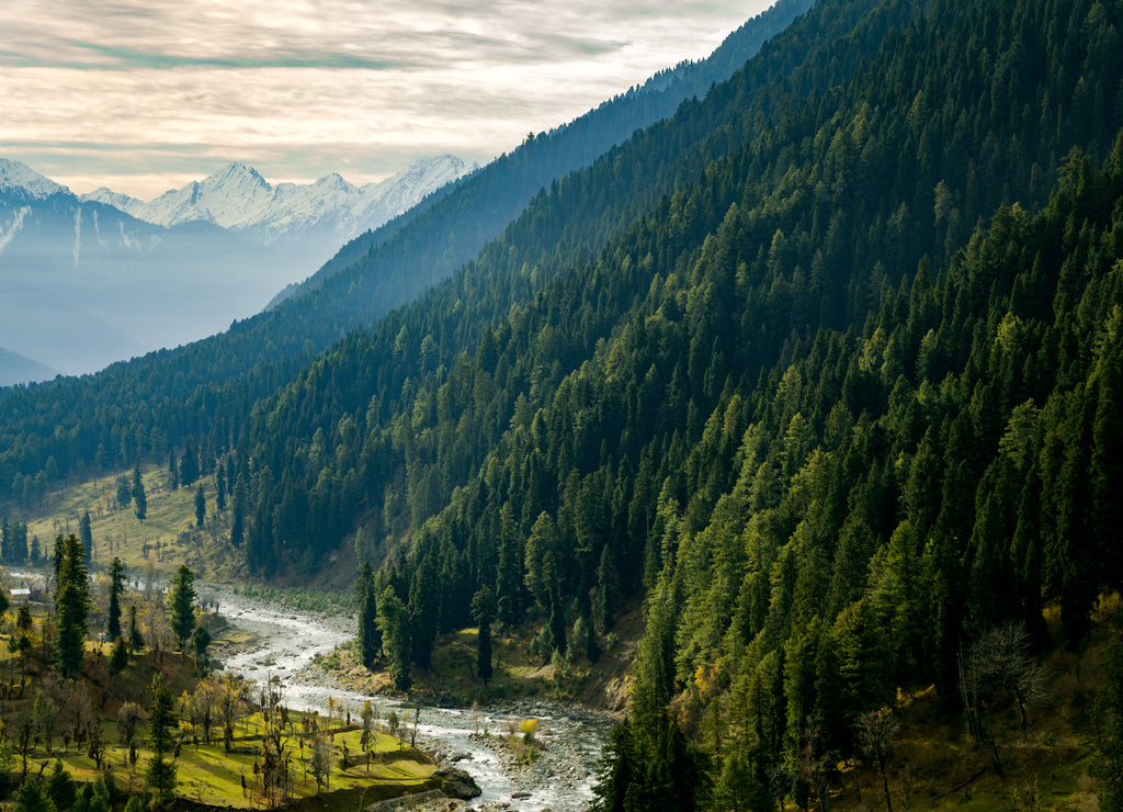 A Himalayan River Passing Through Aru Valley Near Pahalgam, Kashmir, India