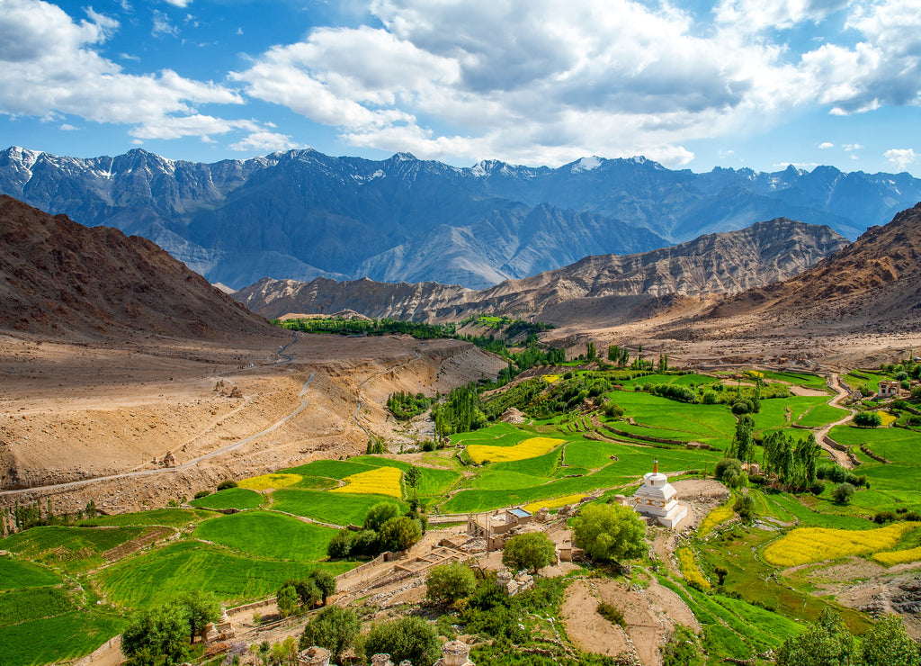 Beautiful Landscape, The Meadows and farmlands at Ladakh, India