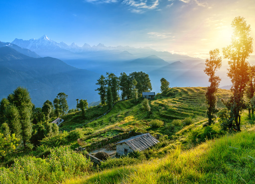 View of beautiful Panchchuli Peaks of the Great Himalayas as seen from Munsiyari, Uttarakhand, India
