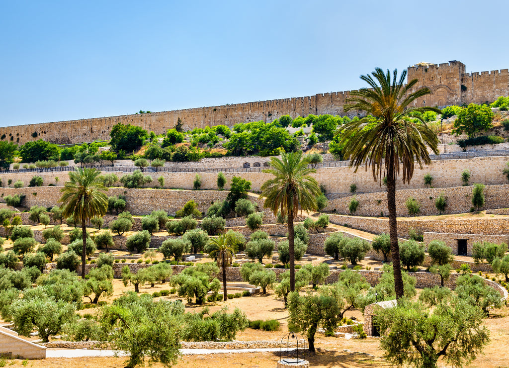 City Walls of Jerusalem above the Kidron Valley