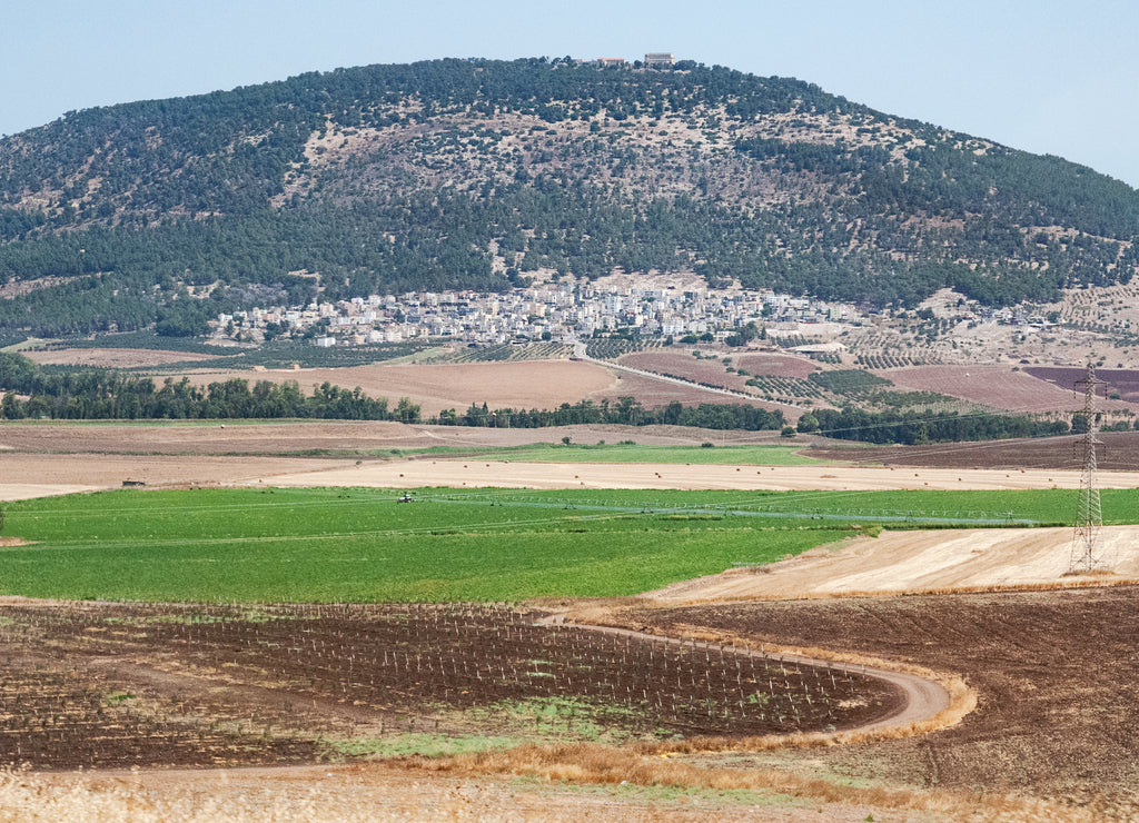 a panorama of mt tabor har tavor in the lower galilee in northern israel with modern agricultural fields in the foreground