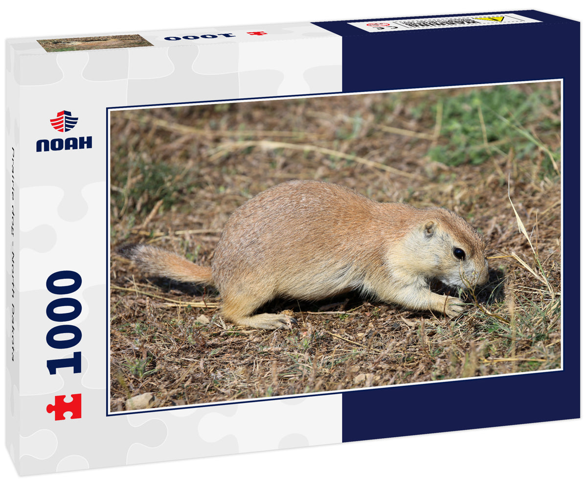 Prairie dog - North Dakota