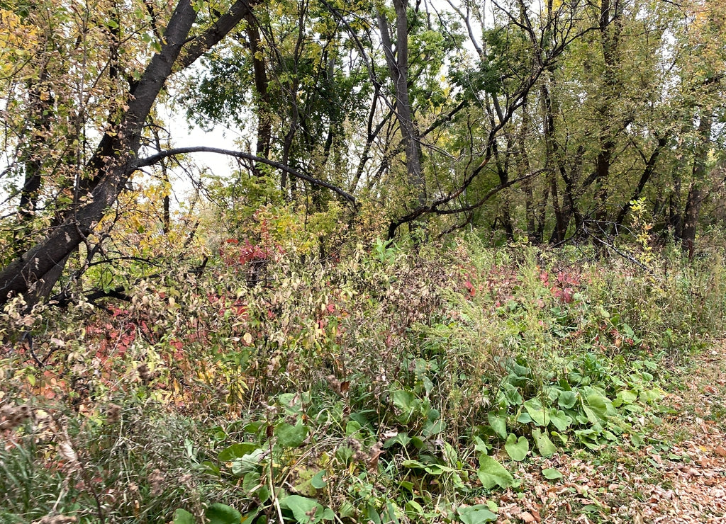 North Dakota Scenic Landscape