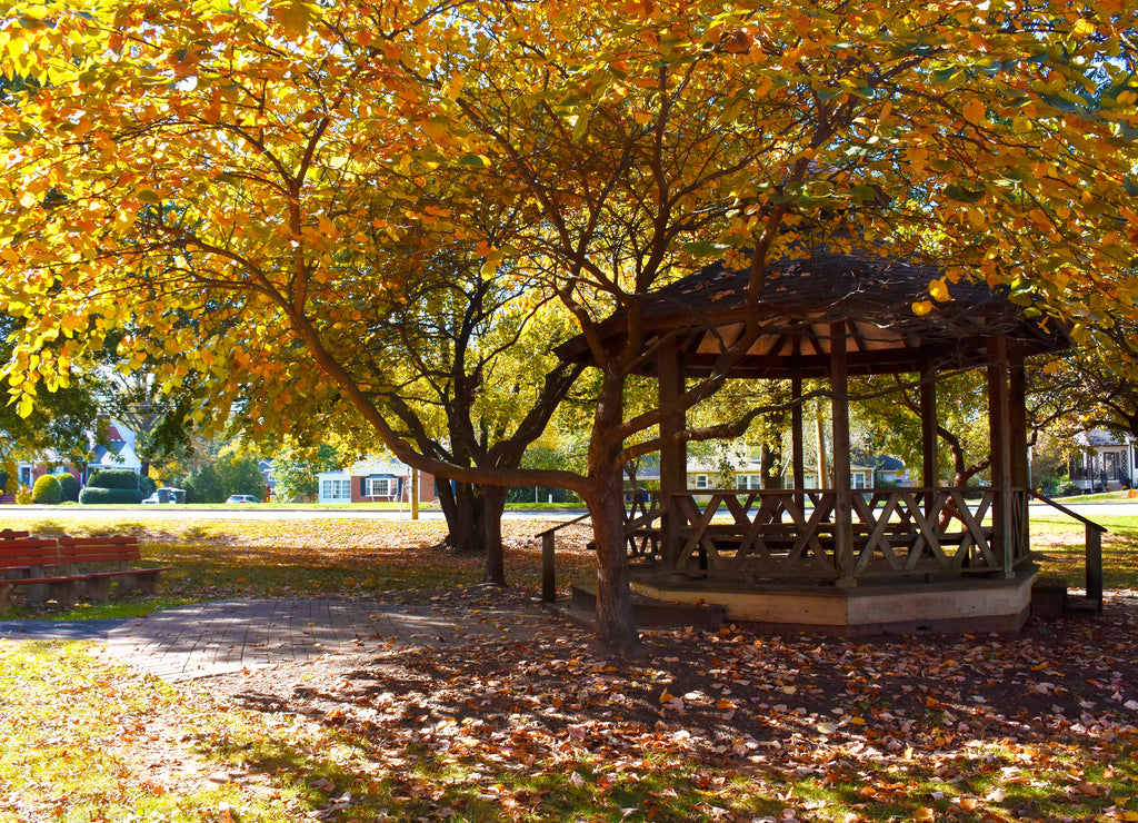 Nelson Park, Manassas, Virginia, USA