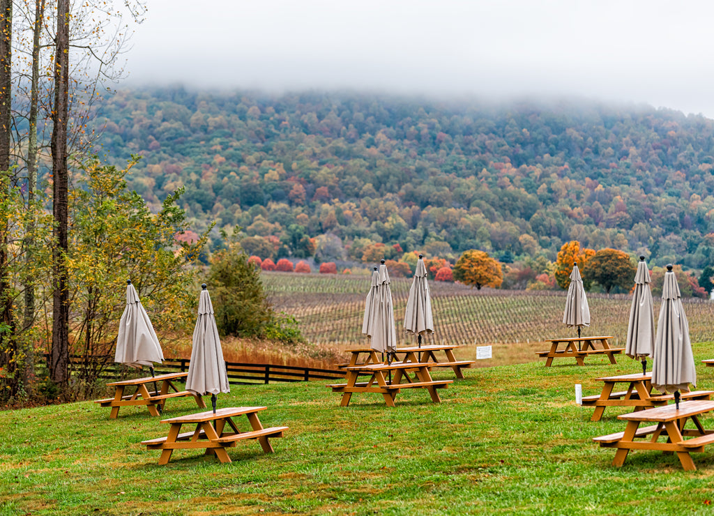 Empty picnic tables in autumn fall foliage season countryside at Charlottesville winery vineyard in blue ridge mountains of Virginia with fog mist cloudy sky day