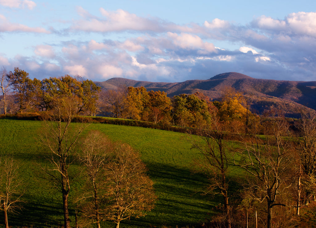Mountains with fall colors in Appalachia, Chilhowie, Virginia