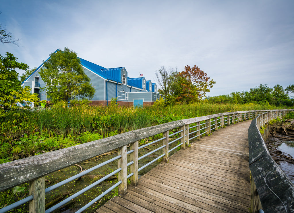 Boardwalk trail in a wetland, at Rivergate City Park, in Alexand