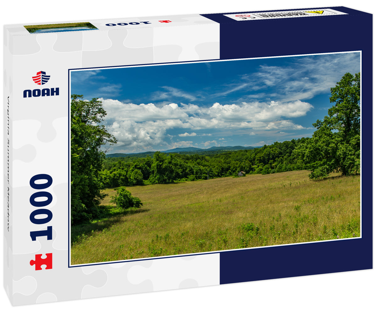 Virginia Summer Meadow