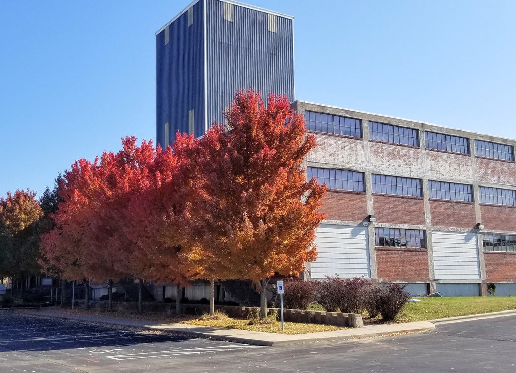 Autumn in Springfield, Missouri