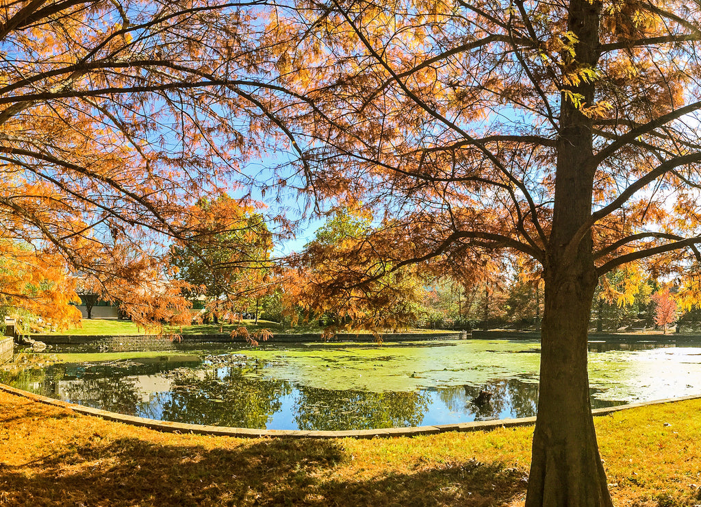 Springfield Missouri Pond