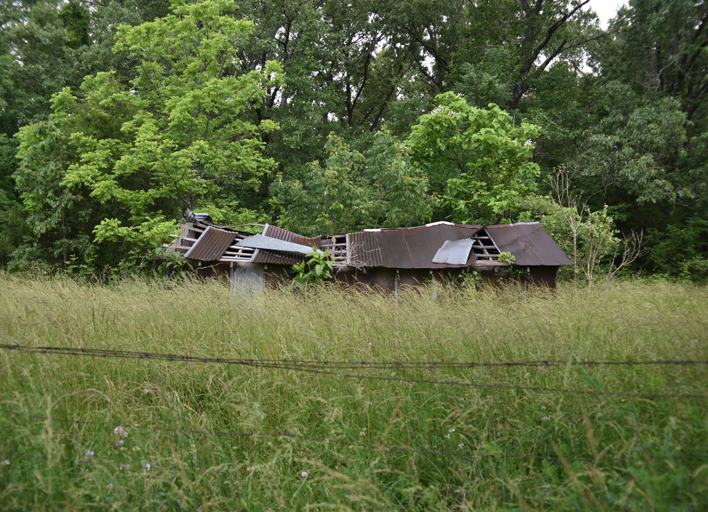 Missouri, U.S.A. Vintage tin roof barns
