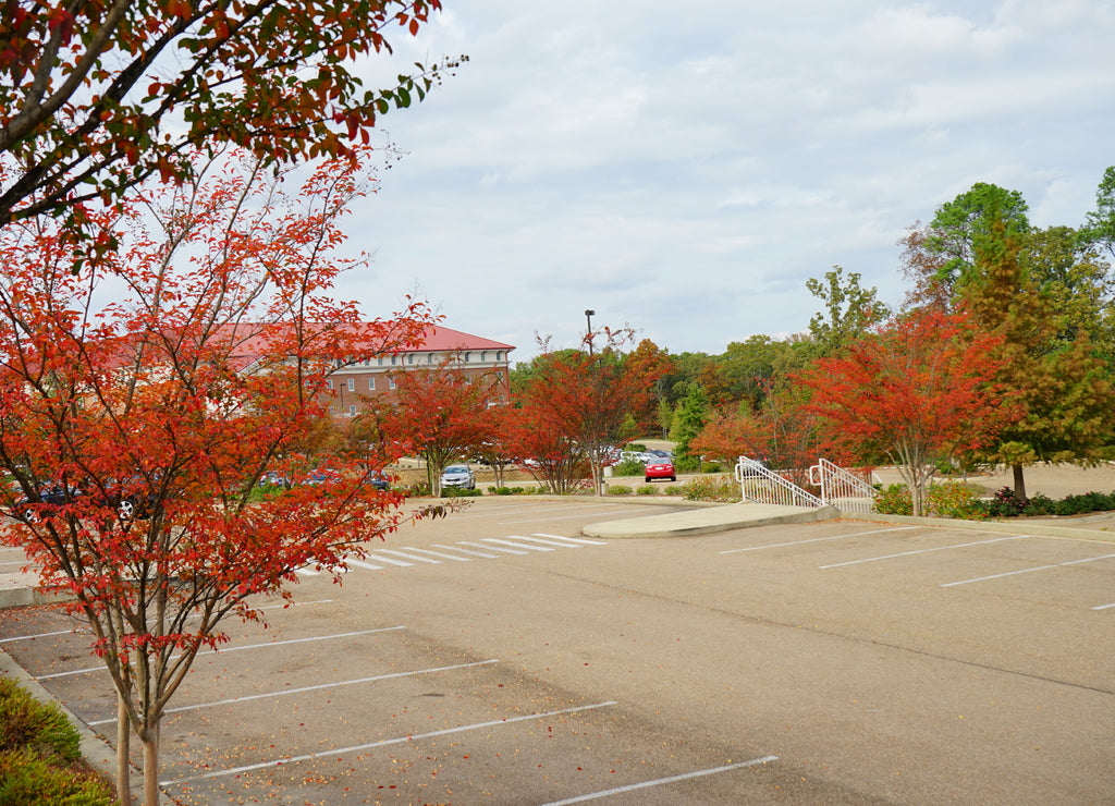University of Mississippi campus autumn landscape